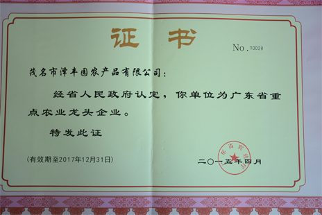 廣東省農(nóng)業(yè)龍頭企業(yè)證書