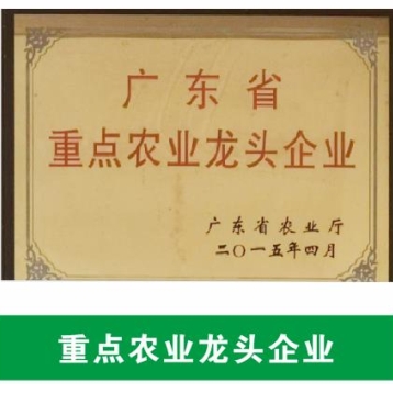 廣東省重點農(nóng)業(yè)龍頭企業(yè)